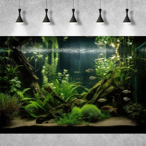 Underwater Aquarium Background Lush Green Diverse Aquatic Plants with Sunbeams Fish Tank Background Underwater Stone with Moss Tropical Fish Rooted Species Terrarium Background Vinyl 24x16in - color: Dark Green, size: 24(W)x16(H)in