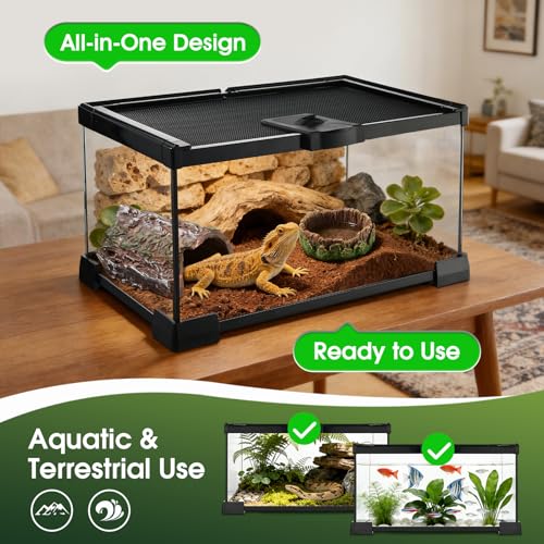 Reptile Terrarium Glass Kit 12" x 8" x 6" Starter Habitat for Tarantula, Succulents, Frogs, or Hermit Crabs, Tank with Escape-Proof Locking Lid - size: 2 gallon