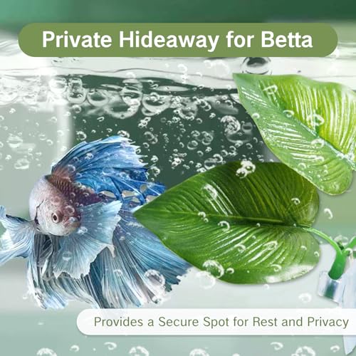 Betta Fish Toys Interactive Betta Ring and Leaf Hammocks Small Tank Accessories Feeding Spot and Resting Bed Breeding Ground Black Circle Fish Feeder with Suction Cups for Aquariums