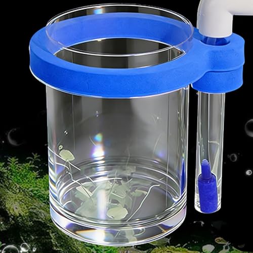 Protective Acrylic Incubator Box Safe Fry Rearing Container Suitable for Guppy & Fish Fry Featuring Sponges Cushioning Suspended Fish Hatchery