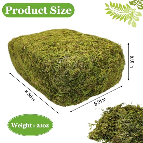 Riare 1.3LBS Artificial Fake Moss for Fake Plants Indoor- Premium Faux Craft Moss for Potted Plant, Fresh Green Moss Forest Moss for Hamsters Micro-Landscape Terrariums Centerpieces Decor - color: 1.3lb