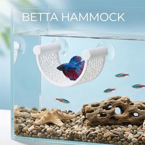 Betta Fish Hammock, Aquarium Floating Bed for Small Fish Minimalist Floating Rest Platform with Suction Cup Betta Hammock Fishes Tank Accessories for Shrimp Fishes Bettas(White) - color: White