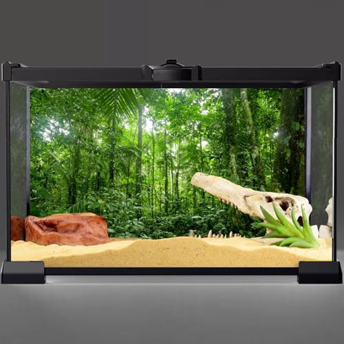 AWERT 30x18 inches Terrarium Background Tropical Aquarium Background Green Huge Tree Rainforest Reptile Habitat Background - size: 30x18in/75x45cm