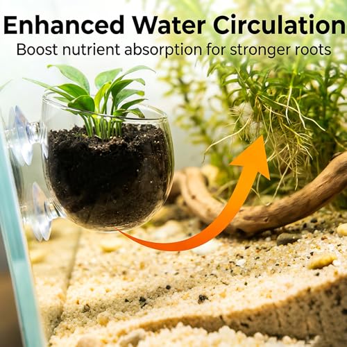 Hiceeden 6 Pcs Aquatic Plant Holder, Glass Aquarium Plant Pot with Suction Cup, Red Worm Cups Fish Feeder for Fish Tank Aquascape Decoration