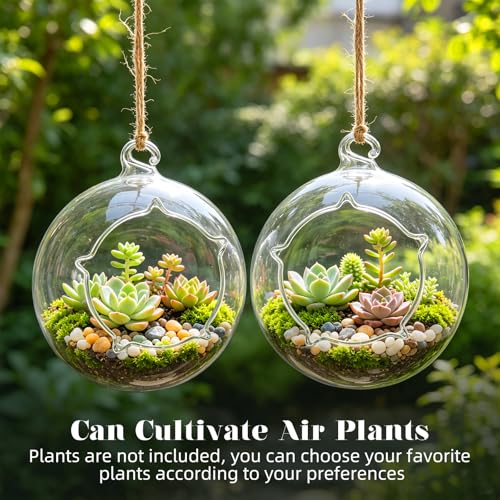 4.7" Hanging Glass Terrarium Globe with Stand for Air Plants Succulents & Desktop Decor, Small Floating Garden for Desks, Shelves, Windowsills, Offices, and Plant Lover