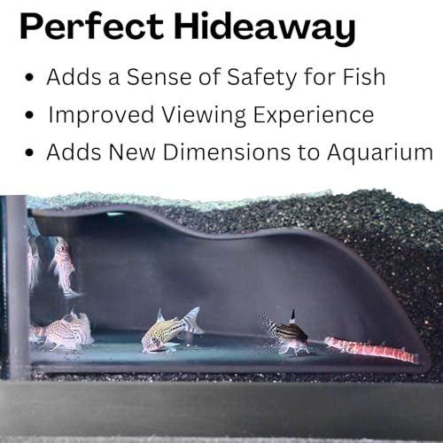 Lucky Critter Aquarium Underground Corner Cave Natural Curve | Viewing Fish & Shrimp Under Gravel Tunnel | Fish Tank Decor Decoration Hideout Perfect for Corydora Catfish, Kuhli Loach, Pleco - color: Black