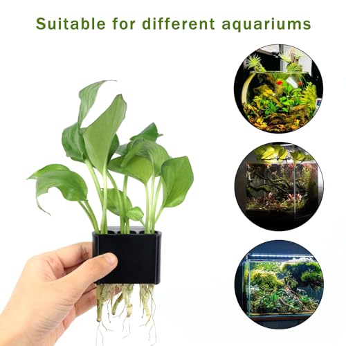 3 Holes Upgraded Aquatic Plant Cup Aquarium Plant Holder for Tank,Aquascape Accessories Decorations- Black 4 Pcs - color: Black 4 Pcs