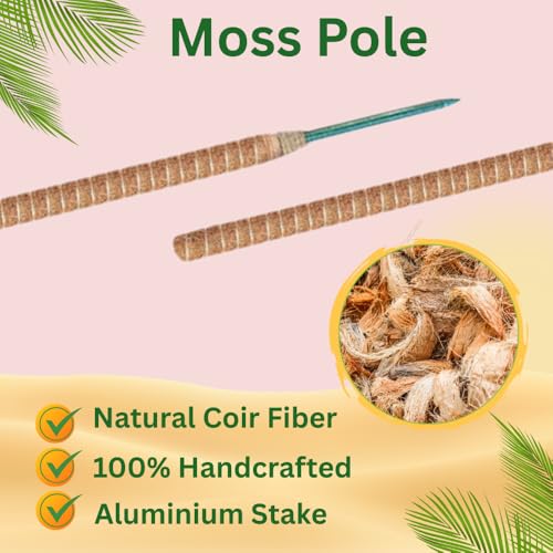2 Pack 28" Bendable Moss Pole Monstera Plant Support | Monstera Moss Pole for Plants Indoor for Climbing Indoor Potted Plants | Stackable Plant Stakes for Pothos, Philodendron, & Eco Friendly