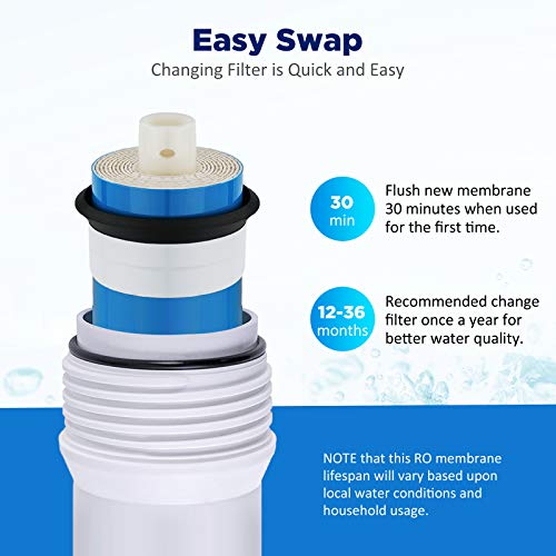 Membrane Solutions 150 GPD RO Membrane, Reverse Osmosis Membrane Element 12" x 2" Water Filter Replacement for Undersink Home Drinking RO Water Filtration System - size: 1 Count (Pack of 1), style: 150G