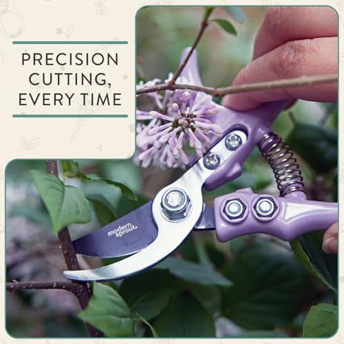 Modern Sprout Hand Pruners & Shears Set w/blister - Lightweight Gardening Tools - Easy Lock - Sharp Carbon Steel Blades - Rust Resistant Scissors for Herbs & Flowers - Gift for Father's Day - Ocean - color: Ocean