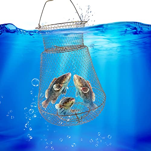 Galvanized Steel Wire Fish Baskets,Portable Fishing Basket for Fish Outdoor,Collapsible Wire Fish Baskets，Minnow Bucket. - size: Large -15X23 INCH