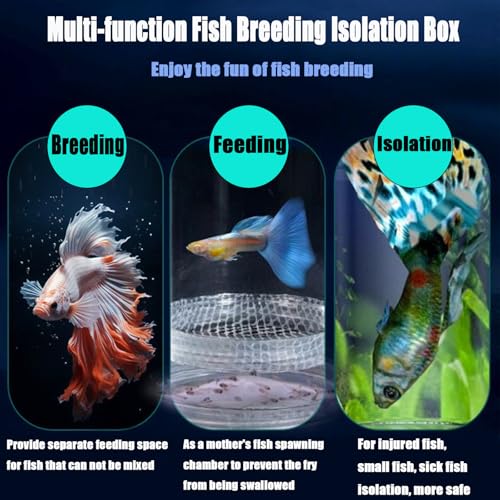 Breeder Box for Fish Tank, Plastic Aquarium Breeding Chamber, Floating Mesh Isolation Hatchery Incubator for Small Fish, Betta Shrimp Clownfish Guppy - Adjustable Nursery Tank Divider (Blue, Medium) - color: Blue