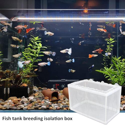 Aquarium Breeding Box - Mesh Box Fish Breeding Tanks, Aquarium Breeder Box, Fish Fry Hatchery, Juvenile Separation Net with Suction Cups, Nursery for Guppy Shrimp - color: large