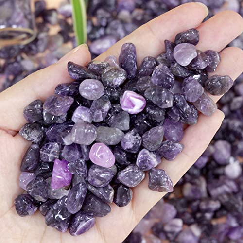Amethyst Healing Crystal Chips Bulk Gemstones Sets Tumbled Chips Crushed Stones Crushed Crystals Natural Rocks for Fountain Rocks Decoration Reiki Energy Balancing Meditation Aquarium Gravel 0.44lb - color: Amethyst, size: 0.44 Pound