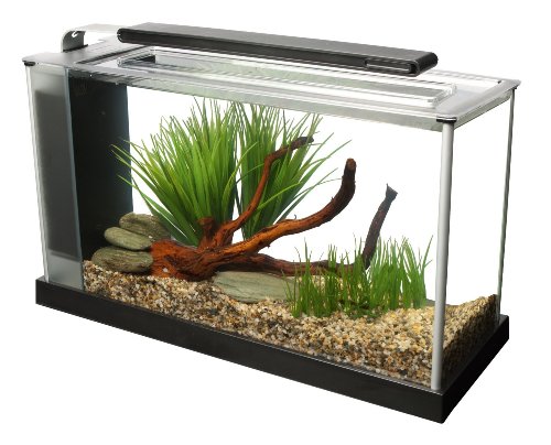 Fluval SPEC Aquarium Kit, Aquarium with LED Lighting and 3-Stage Filtration System, 5-Gallon - color: Black, size: 5 Gal.