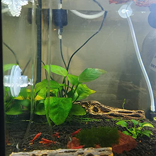 1PCS 200MM Aquarium Feeding Tube Fish Feeder Tube Clear Glass Shrimp Feeder with Glass Dish for Fish Tank Aquarium