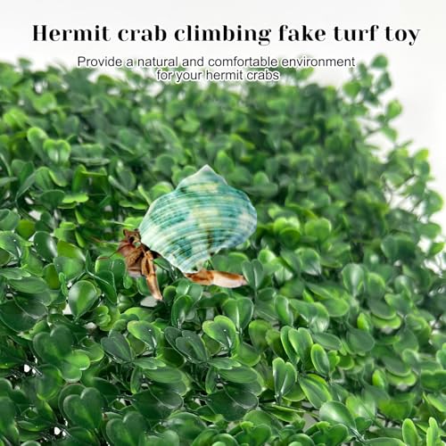 Rainmae 2Pack Faux Grass Mat Fake Turf Hermit Crab Climbing Wall, Hermit Crab Climbing Toys, Plastic Aquarium Plants Lawn Hermit Crab Supplies Climbing and Hide Toy for Gecko Reptile Lizard 10x10 inch - color: 2 Pack