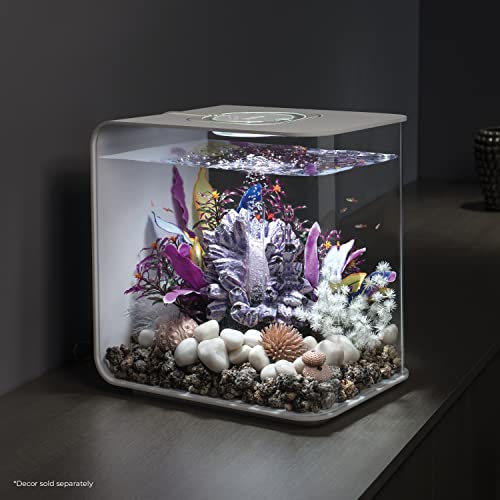 biOrb Flow 30 Acrylic 8-Gallon Aquarium with White LED Lights Modern Tank for Tabletop Display, White - color: White with LED Lighting, size: 8 Gallon