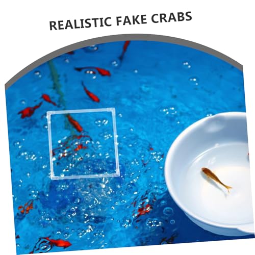 SOLUSTRE 1 Set Floating Plant Rings for Aquariums of Fish Tank Feeding Rings with Suction Cup Versatile Design for Easy Installation and Feeding of Aquatic Plants Fish Tanks