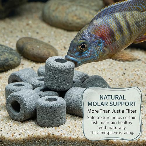 Sukh Ceramic Rings for Aquarium Filter – 1.6cm Porous Bio Media, 15oz Fish Tank Filtration Replacement for 20–55 Gallon Canister & Pond Systems, Includes 2 Media Bags for Freshwater Saltwater Setup - color: Black, size: 15oz