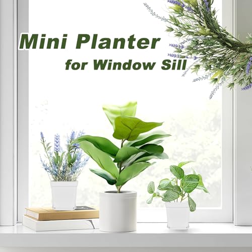 Anyumocz 24Pcs 3" Square Plastic Plant Pots,White Nursery Pots with Saucers,Seedling Nursery Transplanting Planter Container for Plants,Garden,Flower,Home,Office,Balcony Decor,Indoor,Outdoor - color: White