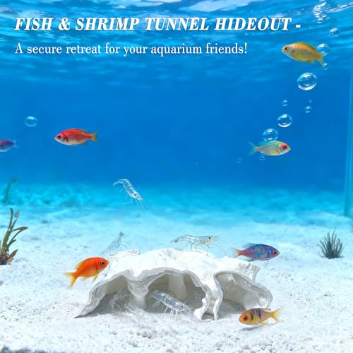 LIYAOLI Aquarium Ornaments Cave Tunnel with Viewing Ports | Fish Tank Decoration Hideout for Pleco, Shrimp & Corydoras | Substrate-Friendly Design & Sinking Base (S - White) - color: S - White