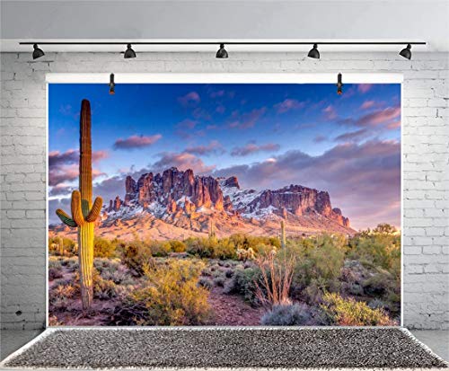 Leyiyi 7x5ft Arazona Mountain Cactus Photography Background Desert Sunset Summit Western American Travel Hiking Desert Flora Cloud Desolate Cowboy Polyester Backdrop Terrarium Background - color: Desert1, size: 7x5ft-P