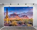 Leyiyi 6x4ft Arazona Mountain Cactus Photography Background Desert Sunset Summit Western American Travel Hiking Desert Flora Cloud Desolate Cowboy Polyester Backdrop Terrarium Background - color: Desert1, size: 6x4ft-P