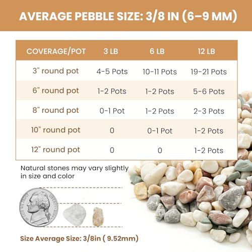 3/8 Inch Decorative Pebbles, River Rocks for Indoor Plants, Succulents, Planters, Vases, Fish Tank, Aquarium Gravel & Landscaping, Mixed Color, 6LB - color: Colorful, size: 6LB