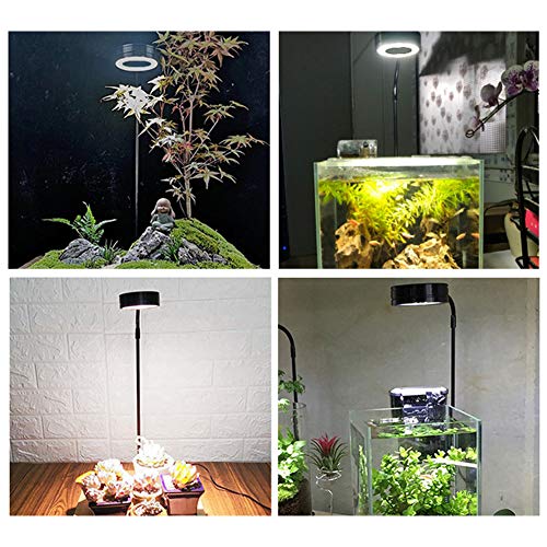 LED Aquarium Light 360 Degree Full Spectrum LED Light with Bamboo Board 10W Nano Fish Tank Light USB Powered Flat Nano Aquarium Light Bett a Fish Tank Light for Plant Growth - size: 10w m / 8.66x9.25inch