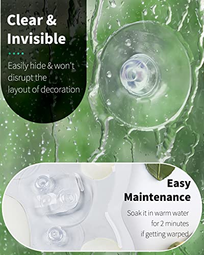 Pawfly 20 Pack Suction Cups 1.8 Inch, Small Rubber Suction Cups for Home Kitchen Bathroom Organization Christmas Decoration Window - style: 1.8 in 20pcs