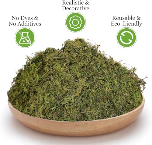 Riare 14OZ Artificial Fake Moss for Fake Plants Indoor- Premium Faux Craft Moss for Potted Plant, Fresh Forest Green Moss for Hamsters Micro-Landscape Terrariums Centerpieces Decor - color: 14 Oz