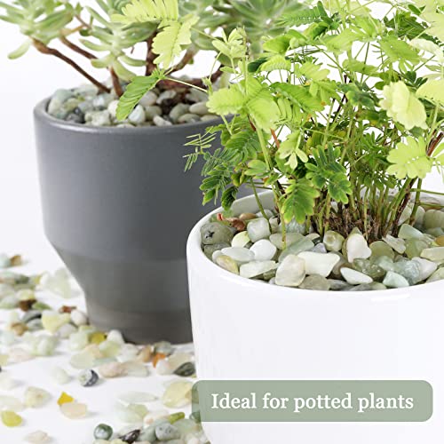 11lbs Natural River Rocks, Polished Pebbles for Plants Garden, 0.3-0.8 inch Decorative Jade Stones, Ideal for Fish Tank, Vases, Crafting, Home Decor and Garden Landscaping Rocks,Jade - size: 11 Pounds, style: Jade