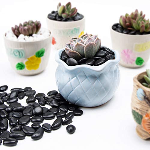 Black Small Decorative Pebbles - Gravel River Rock,Natural Polished Decorative Stones 3/8" Gravel Size,Pebbles Gravel for Bamboo Plants,Succulent,Home Decor,Landscaping,Vase Fillers and More. - color: Black, size: 5 LB
