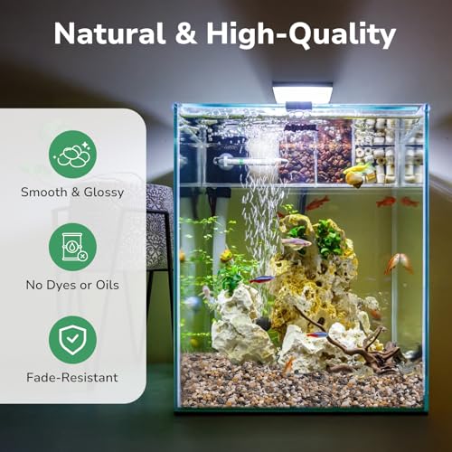 GreatBuddy 5-lb Pebbles for Indoor Plants, 3/8" Pea Gravel for Vases, Small Rocks for Succulents, Fish Tanks, Aquariums, Terrarium, Drainage Pebbles for Potted Plants, River Rocks for Landscaping - color: Natural-5lb, size: Medium-3/8 Inch