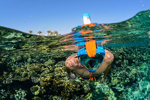 OCEAN REEF - Aria QR + Quick Release Snorkeling Mask - Full Face Snorkeling Mask - 180 Degree Underwater Vision - 8 Colours and 4 Sizes - color: Blue, size: Medium-Large