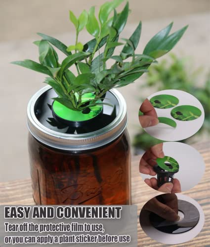 Kratky Lid Wide Mouth Hydroponic Lid Kratky Mason Jar Lid Urban Aquaculture Kratky Lid Insert with Urban Aquaculture Pods Includes 6 Kit (Black Version) (Black 24)