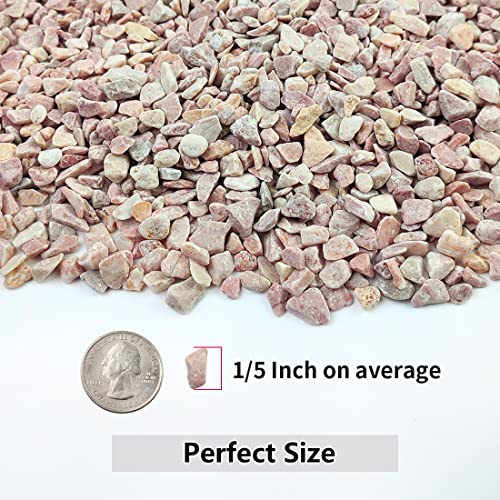YISZM 2LB Succulent and Cactus Gravel Pebbles, 1/5 Inch Natural Decorative Polished Stones, River Rocks for Plants, Vases, Aquariums, Terrarium and Outdoor Gardening,Peach - color: Peach, size: 2 Pounds