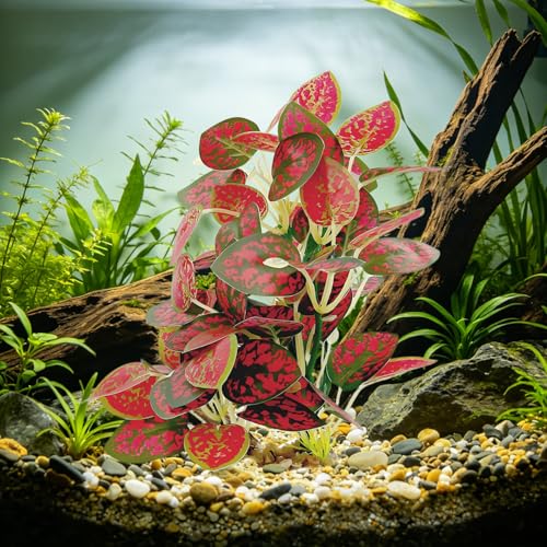 Silk Aquarium Plants (2-Pack), 9.8-inch Artificial Aquarium Silk Plants— Simulated Fish Habitat Decor, Safe Silk Plants for Aquariums Fish Fishbowl (Red) - color: Red&green