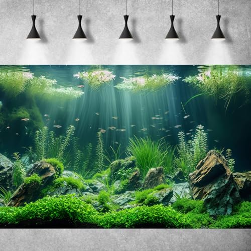 Underwater Aquarium Background Lush Green Aquatic Plants Fish Tank Background Rocks Stones with Moss Under The Sea Terrarium Background Tropical Underwater World Theme Aquarium Backdrop 24x12in - color: Green, size: 24(W)x12(H)in