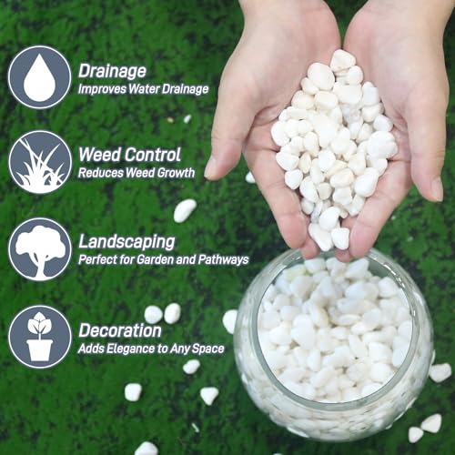 Mulctun 6Lb White Rocks for Plants, 1/4"-3/4" White Pebbles, Decorative Stones for Vases, Small Aquarium Gravel for Fish Tank Garden Rocks for Potted Plants & Home Decor - size: 6 LB