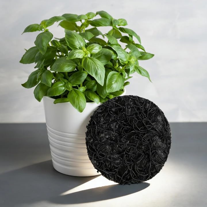 10 Pack Pot Mesh Drainage Discs, 9 Inch Thickened Drainage Hole Insert Pads, Reusable Plant Pot Bottom Mesh Mats for Indoor Outdoor Gardening to Prevent Soil Loss and Keep Root Healthy - color: 9 Inch-10 Pcs