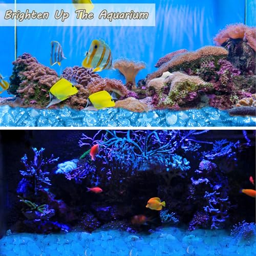 Kaiyuan Dynasty 100pc Fish Tank Rocks Aquarium Rocks Glow in The Dark Pebbles Glowing Rocks Luminous Pebbles for Fish Bowl,Garden,Ponds Decor,Blue (0.8-1.2") - color: Blue, size: 100