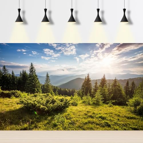 Mountain Valley Aquarium Background Idyllic Panorama Misty Mountains Fish Tank Background Seasonal Tranquil Spruce Forest Pine Trees Terrarium Backgrounds Green Meadow Reptile Tank Backgrounds 24x12in - color: Light Green, size: 24(W)x12(H)in