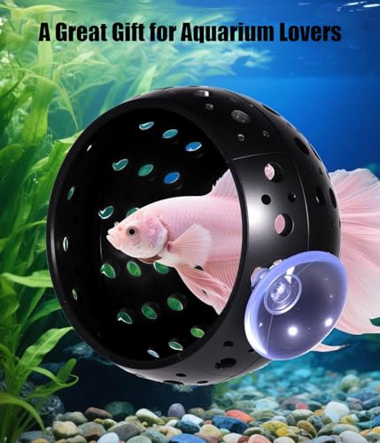 KINGYEENUO Betta Tunnel, Betta Fish Toys, Aquarium Fish Hideout with Suction Cups, Shrimp Cave Decor for Shrimp, Guppies - Safe Play & Resting Area for Bettas, Tank Accessories, a Set