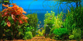 AOFOTO 20x10ft Aquarium Backdrop Decoration Blue Ocean Fish Deep Water Plants Seabed Scene Underwater Scene Background for Photography Kids Adults Birthday Party Events Photo Studio Props Vinyl - size: 20x10ft
