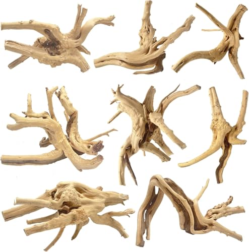 Jorewood Natural Small Spiderwood Driftwood for Aquarium Decor Rptile Fish Tank Decoration Assort Branch 4-7'' 8 Pcs - size: Spiderwood 4 to 8 Inch (Pack of 8)