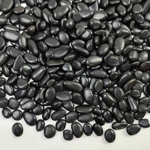 FANTIAN 2 lbs Black Pebbles for Indoor Plants, 3/8 inch Decorative Rocks, Black River Rocks for Succulent Potted Plant, Vase, Aquarium, Landscaping and Outdoor Garden Rocks - size: 2 pounds, style: Black
