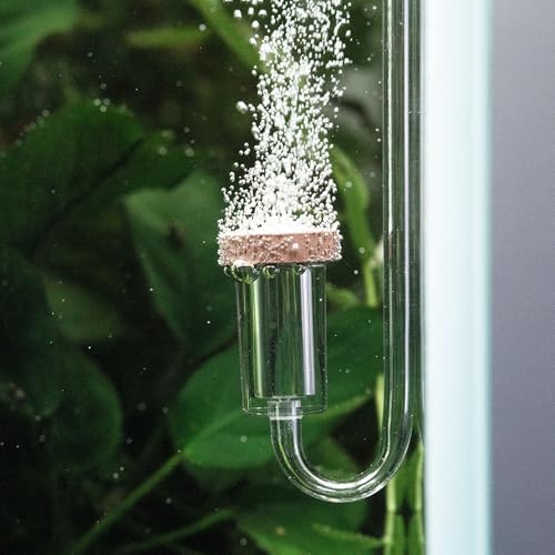 Aquario Neo CO2 Aquarium Diffuser - CO2 Diffuser Aquarium Kit, CO2 Diffuser for Aquarium Plants, CO2 System for Aquarium - Curved Original Diffuser, Medium - size: Medium