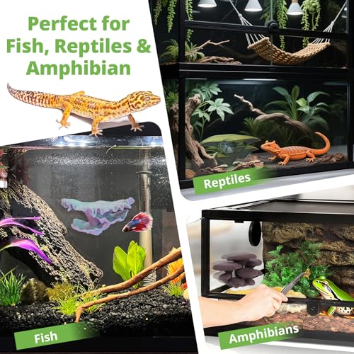 Westant Mushroom Decor for Reptile Tank, Fish Tank, Pet-Safe Bearded Dragon Tank Accessories, Realistic Terrarium Plants for Leopard Geckos, Crested Geckos, Tree Frogs, Snakes (Lagoon, Trio Cap) - color: Lagoon, size: Trio Cap